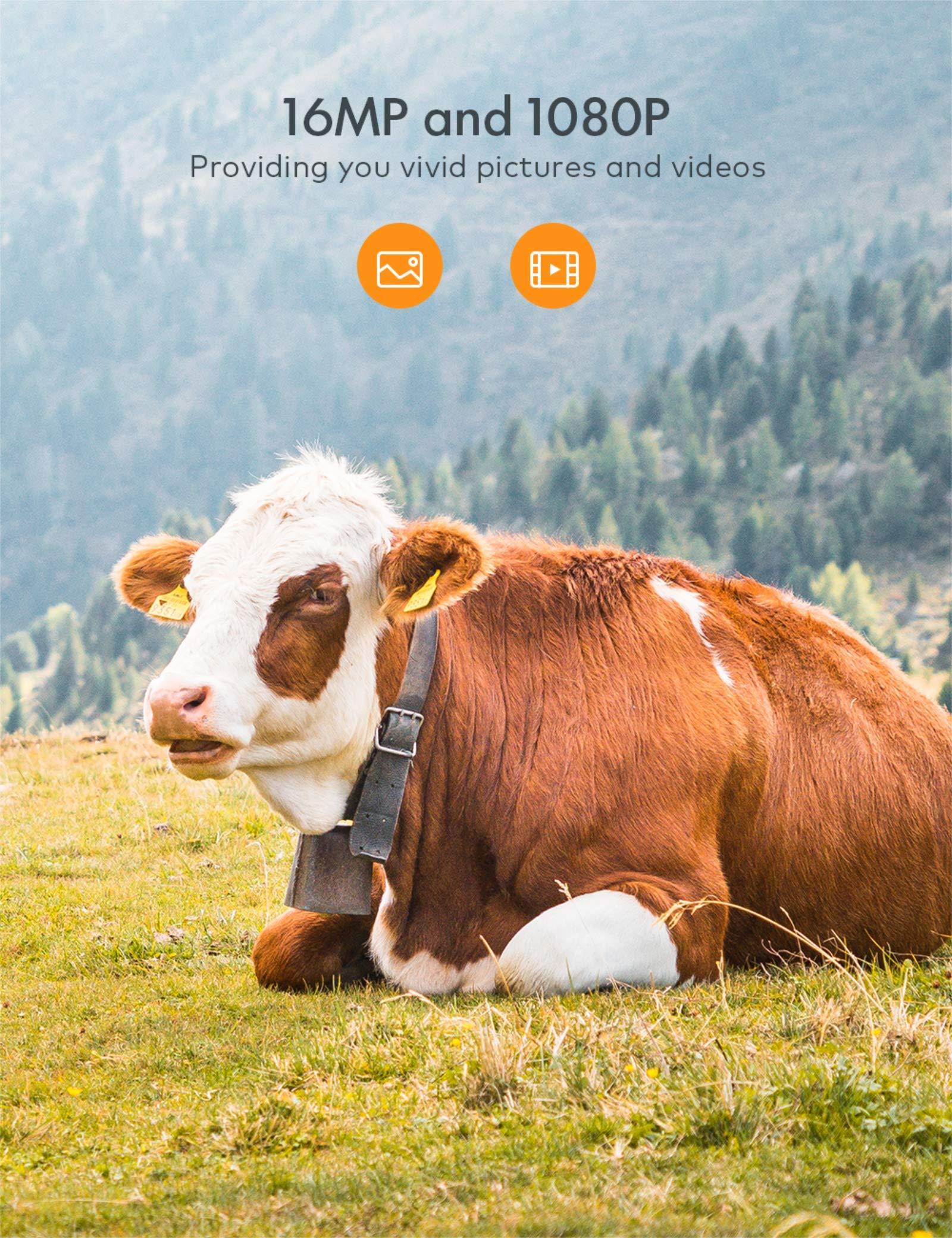 apeman H40 mini caméra animalière 