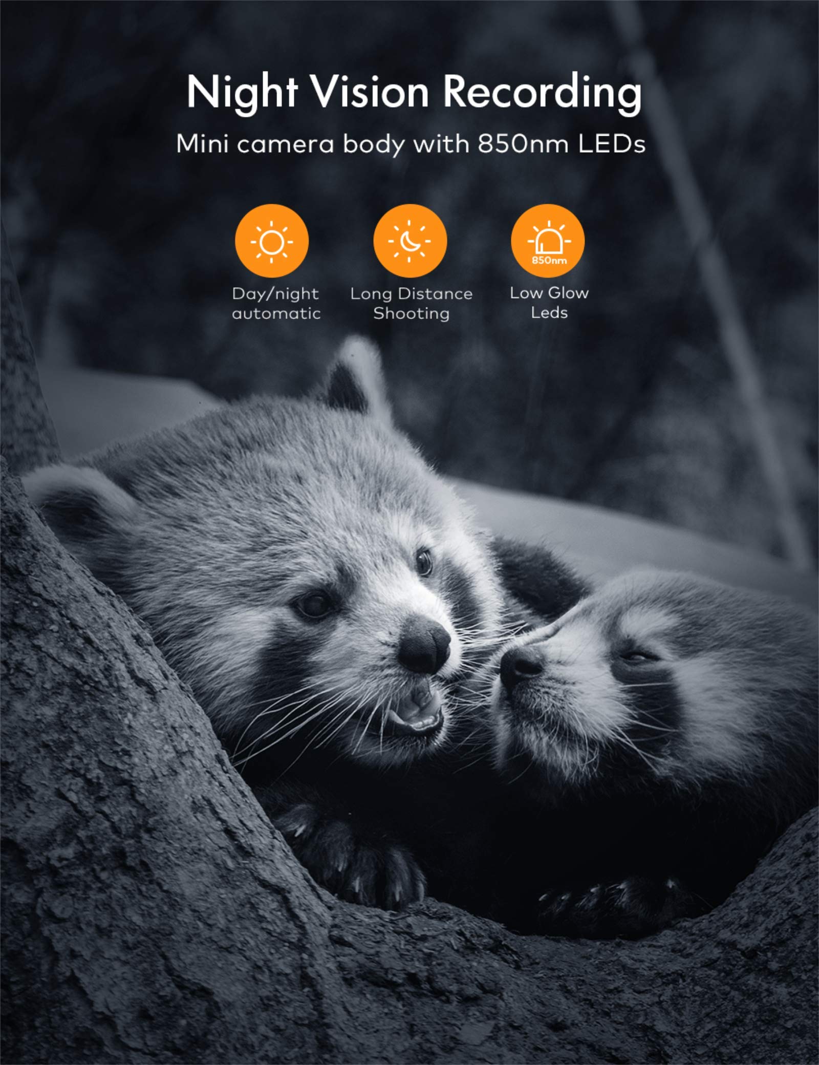 apeman H40 mini caméra animalière 