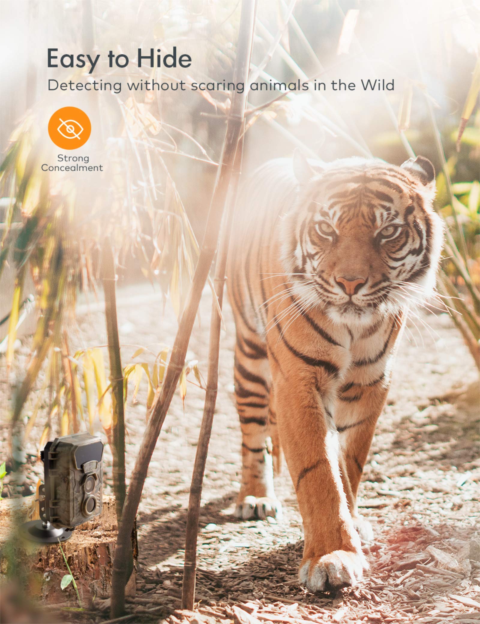 apeman H40 mini caméra animalière 